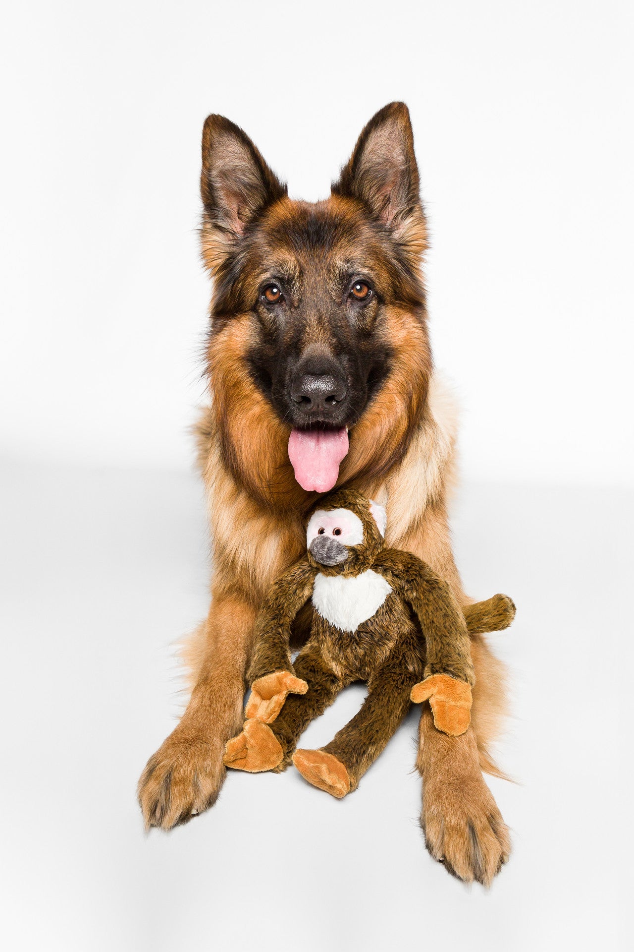 Fluff N Tuff Albert Monkey
