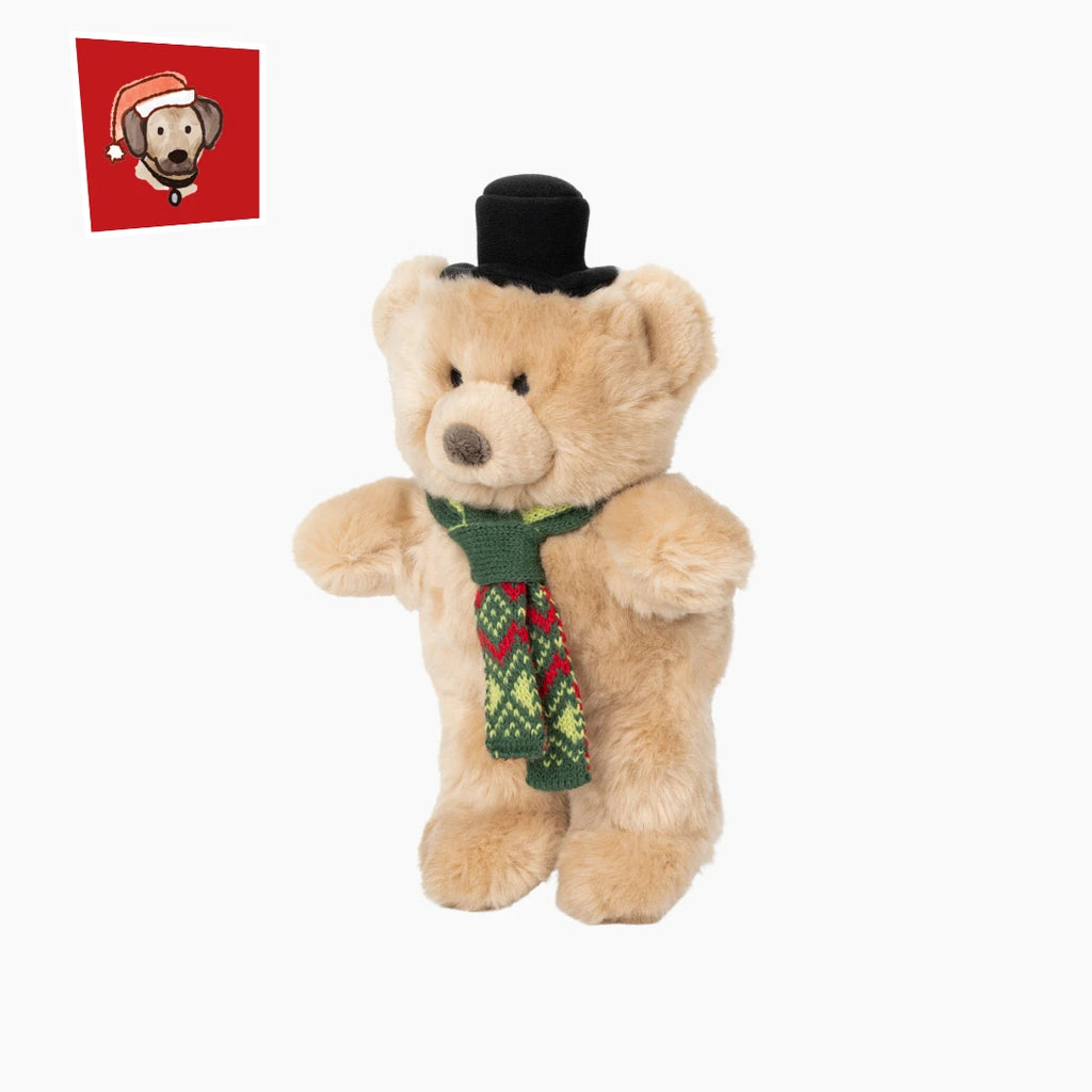 Fkuff & Tuff Mr. Party Bear
