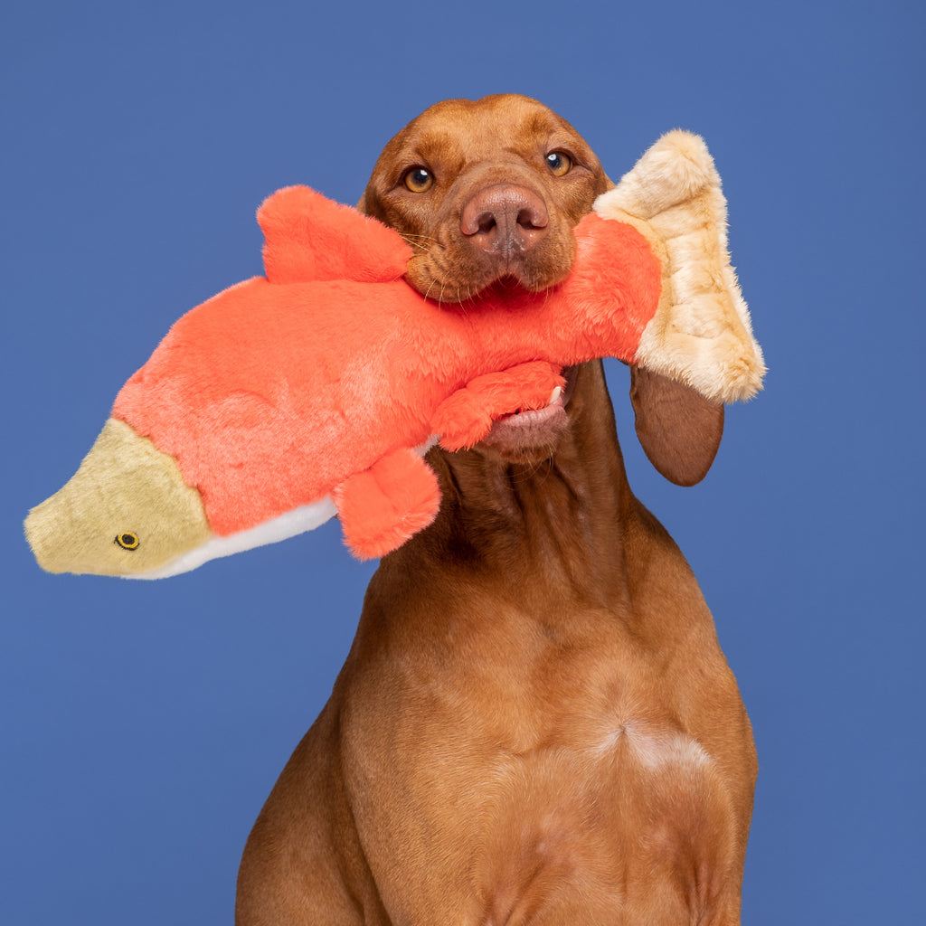 Fluff & Tuff Cedar Salmon