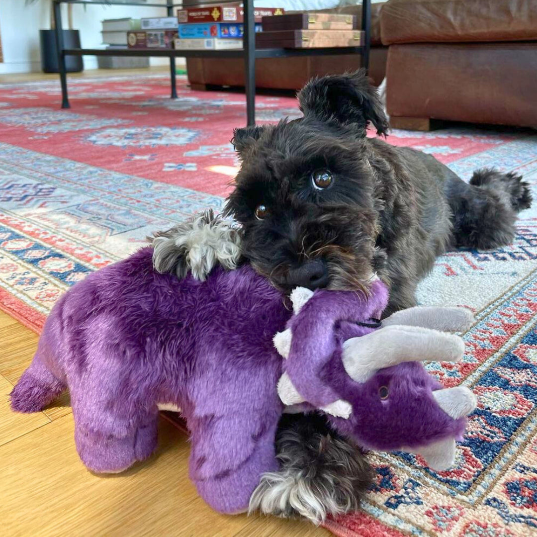 Fluff & Tuff Charlie Triceratops