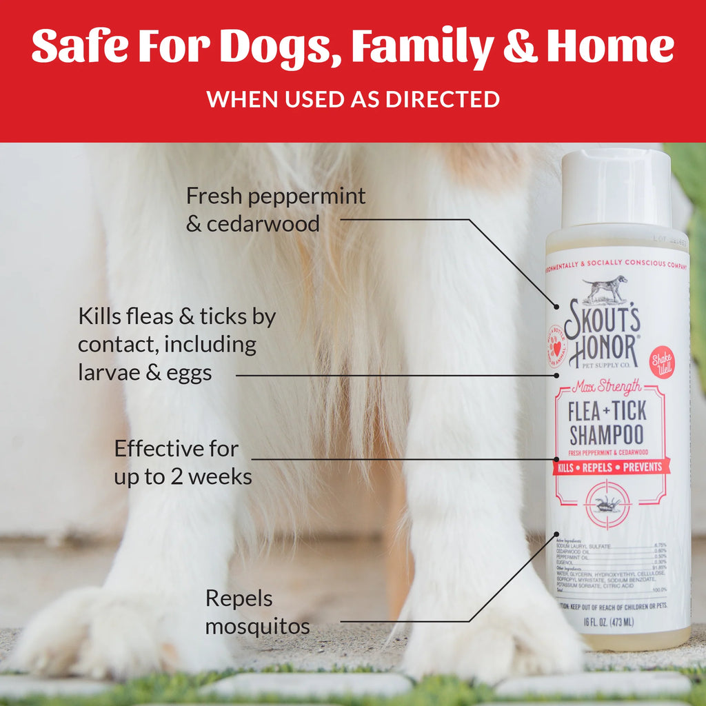 Skouts Honor Flea + Tick Shampoo