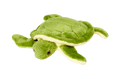 Fluff & Tuff Shelly Turtle
