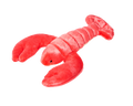Fluff & Tuff Manny Lobster