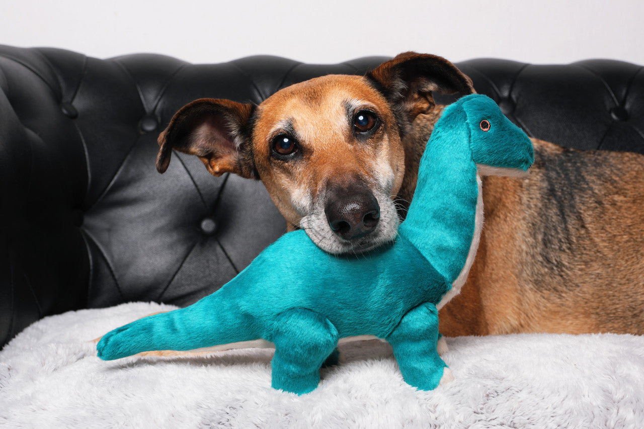 Fluff & Tuff Ross Brachiosaurus