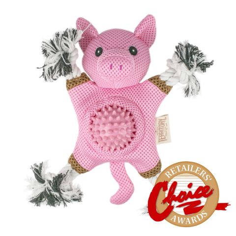 Territory Pig 2 in 1 Toy