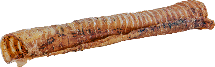 Raw Dog 12" Beef Trachea