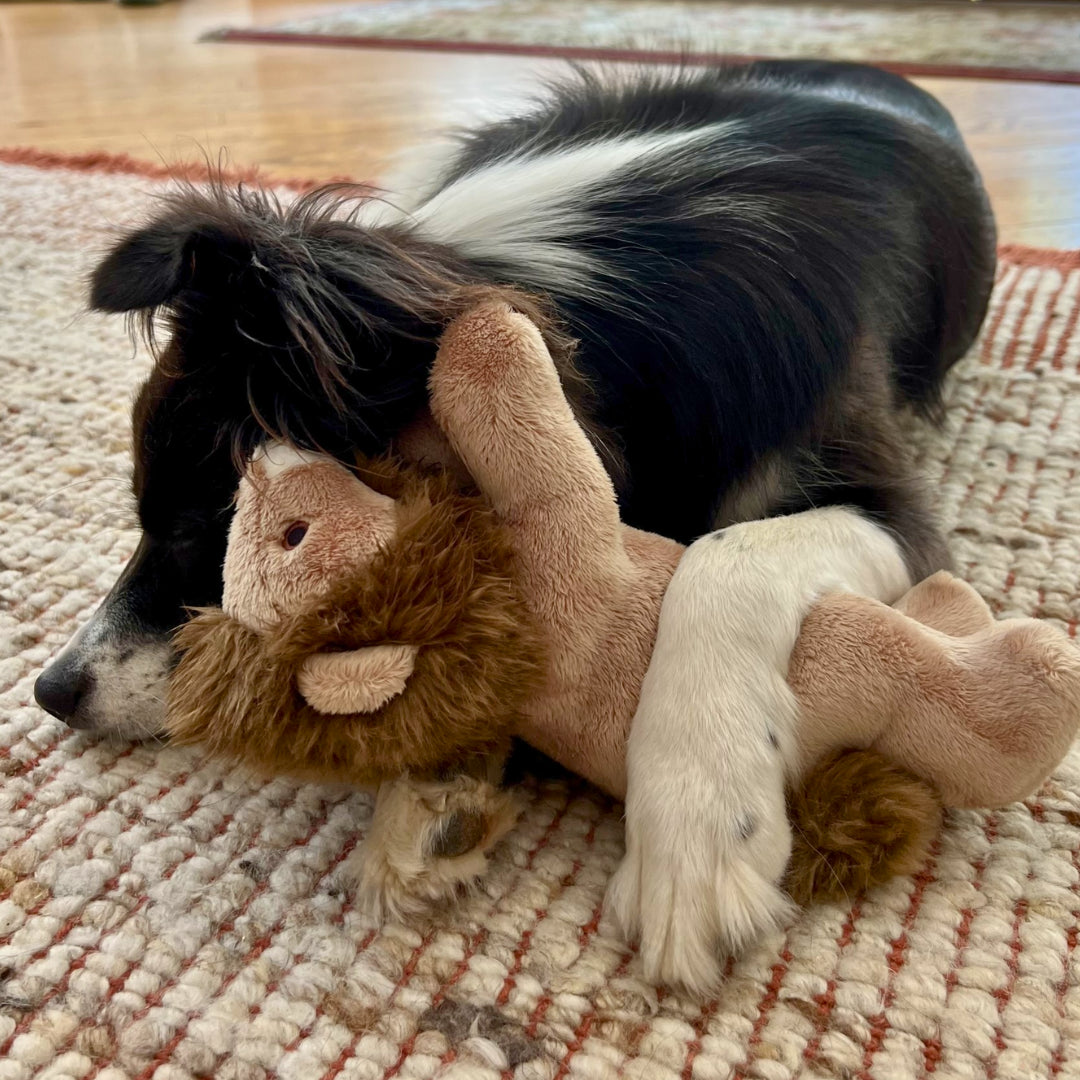 Fluff & Tuff Leo Lion
