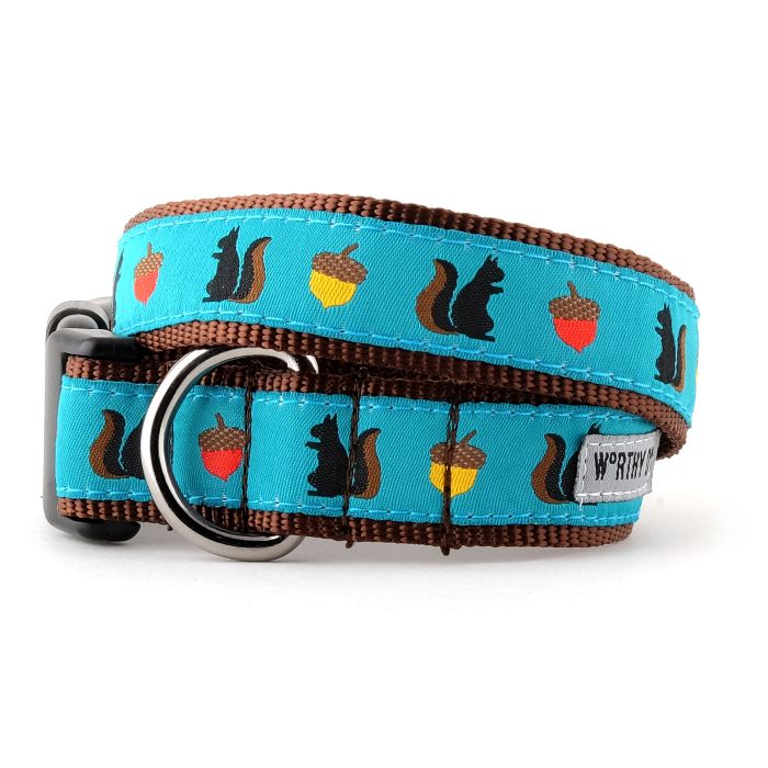 Worthy Dog Squirrel Collars