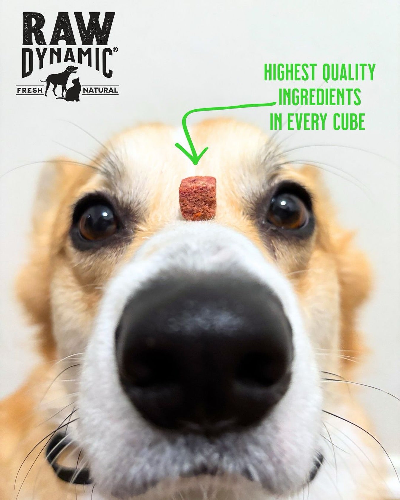 Raw Dynamic Chicken Freeze Dried Treats