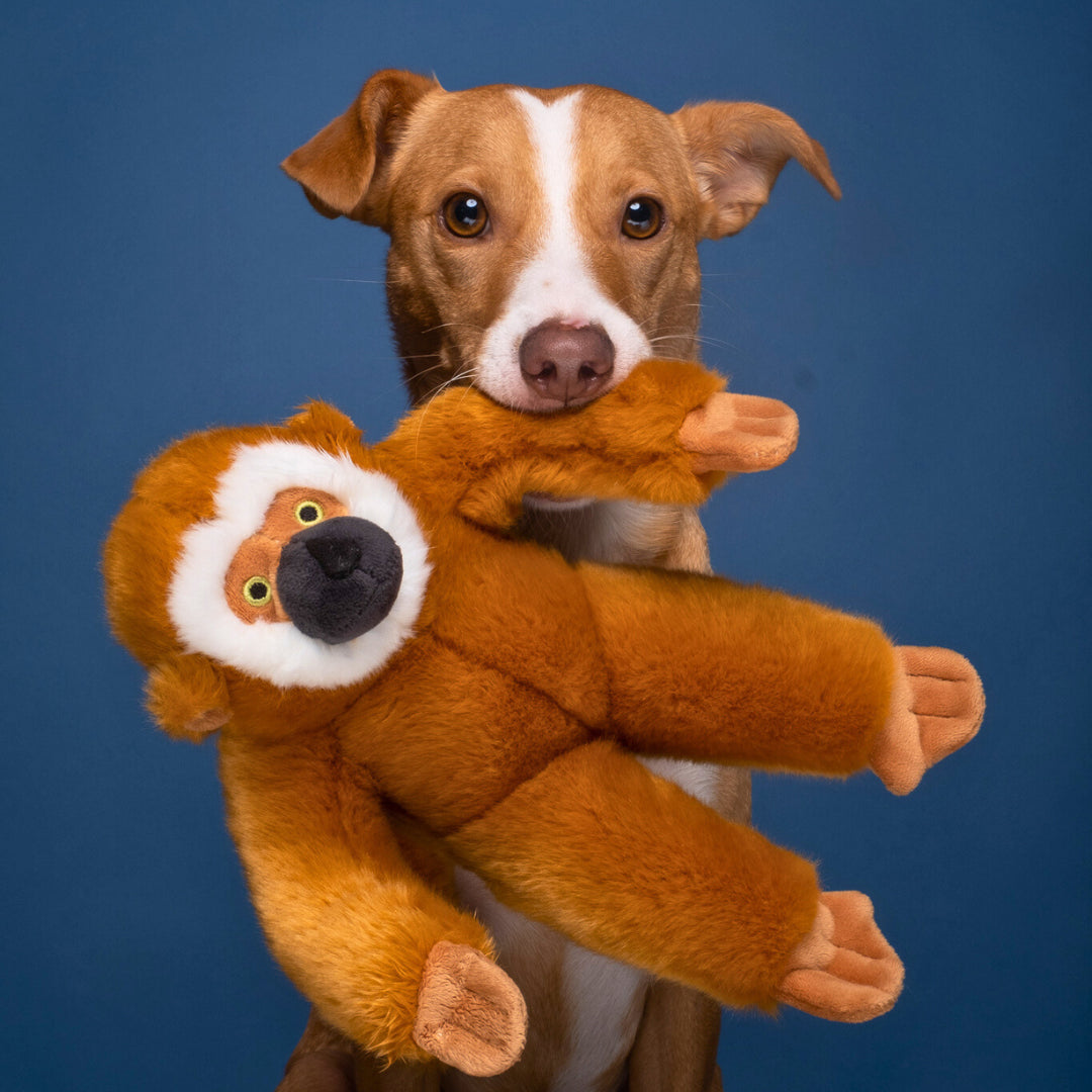 Fluff & Tuff Marcel Monkey
