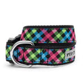 Worthy Dog Carnival Check Collar