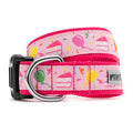 Worthy Dog Birthday Collar