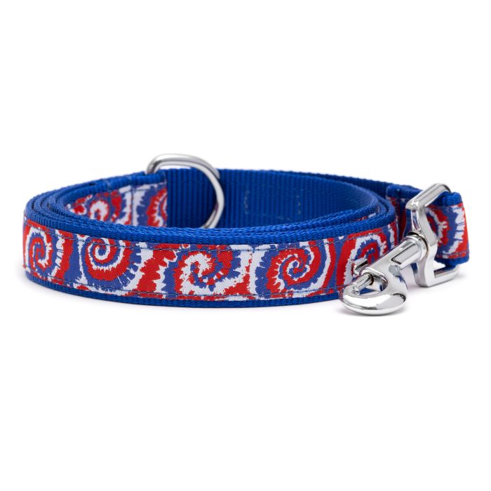Worthy Dog Kaleidoscope Collar