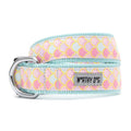 Worthy Dog Mermaid Collar