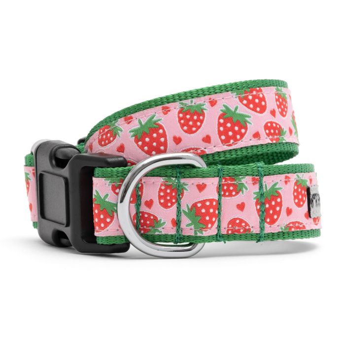 Worthy Dog Strawberries Collar