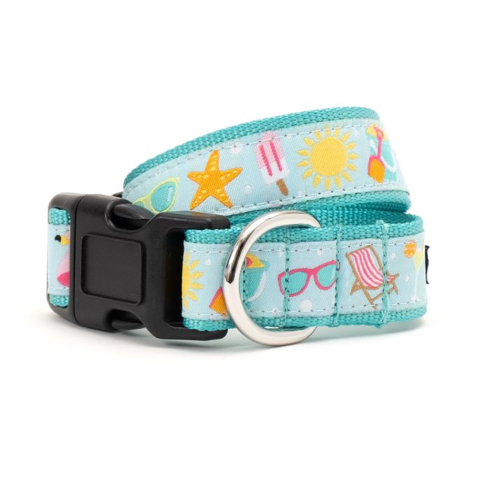 Worthy Dog Beach Collar