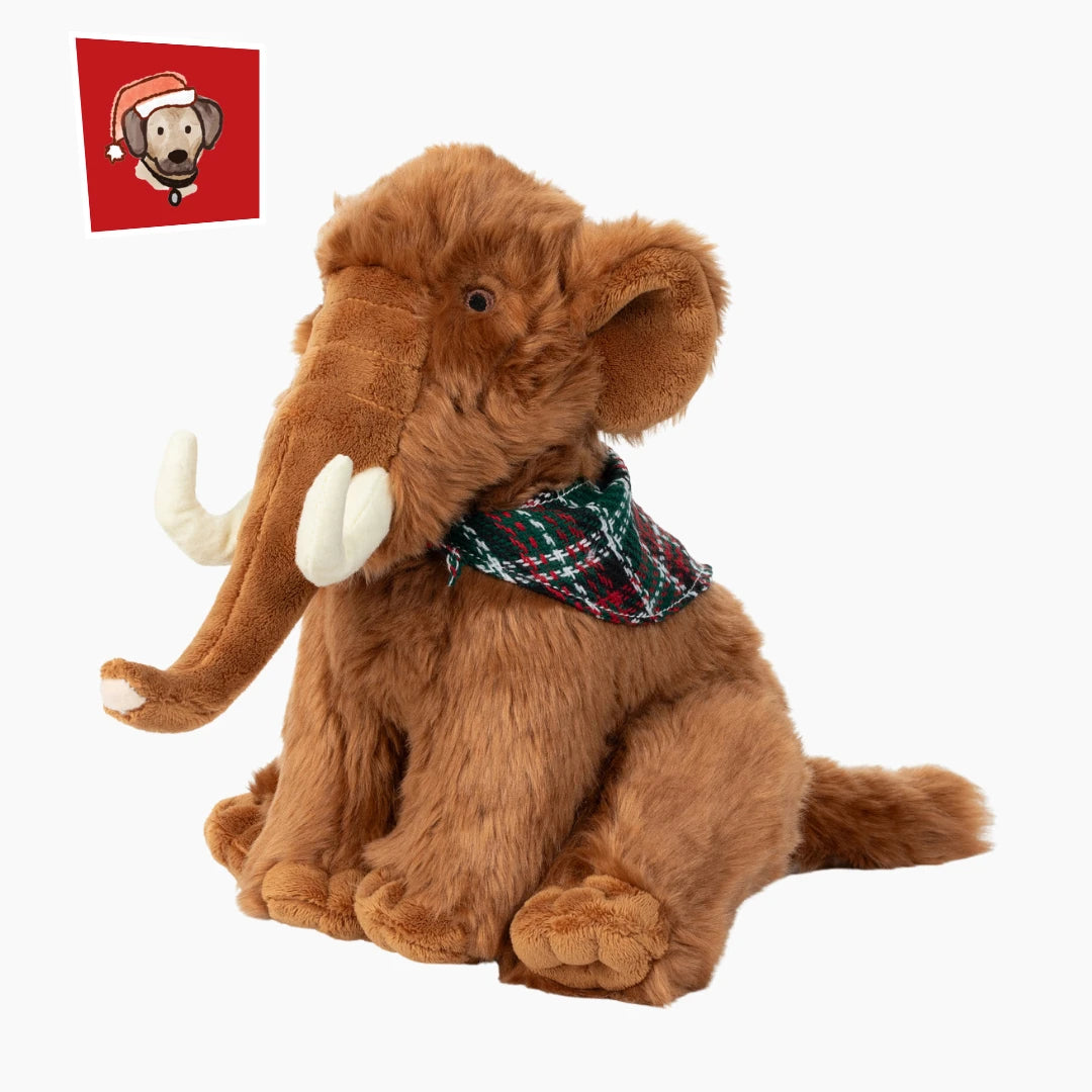 Fluff & Tuff Wooly the Mammoth
