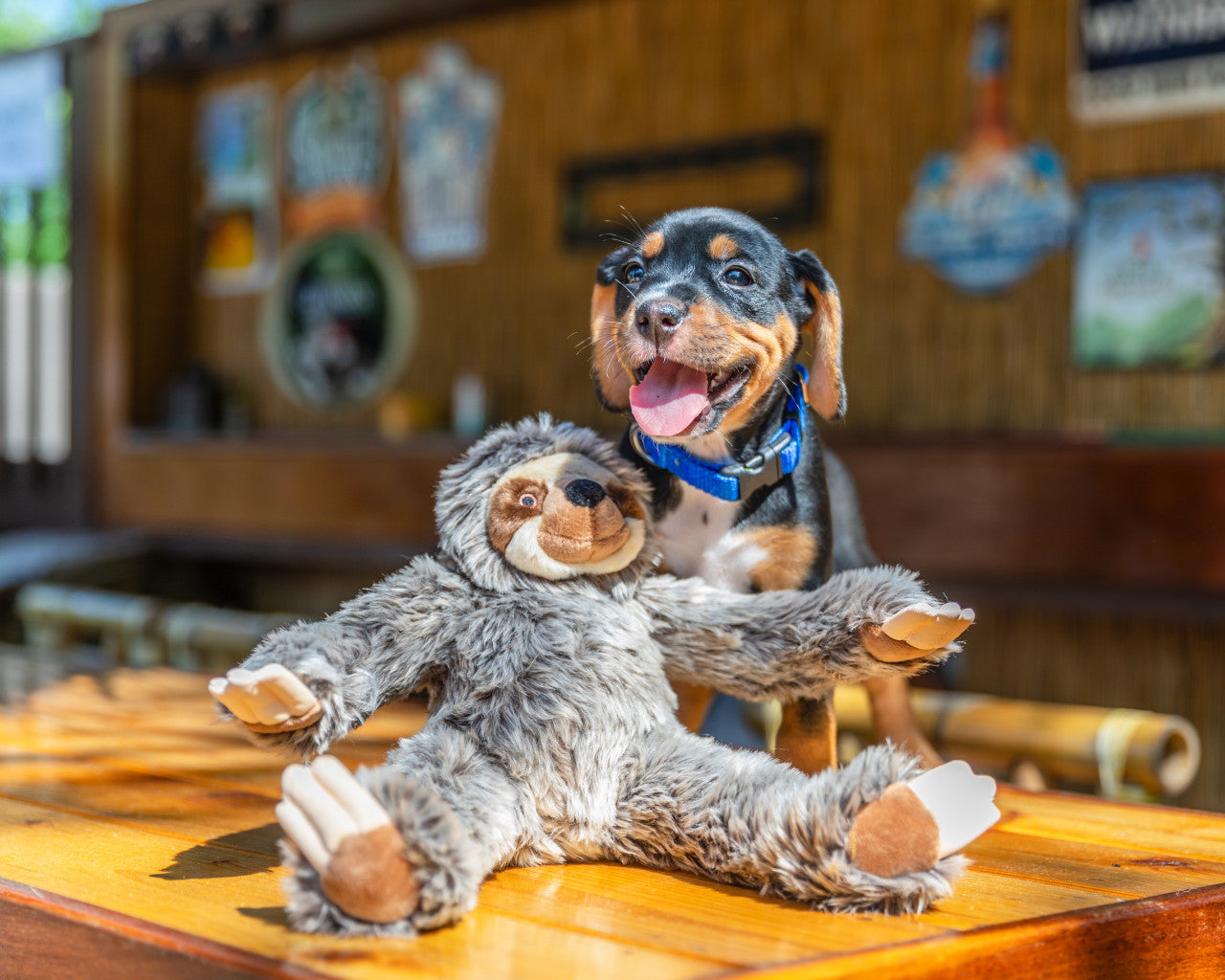 Fluff & Tuff Sonny Sloth