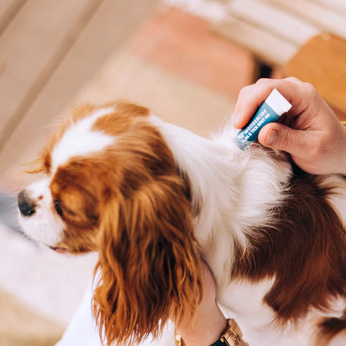Wondercide Spot On Flea& Tick