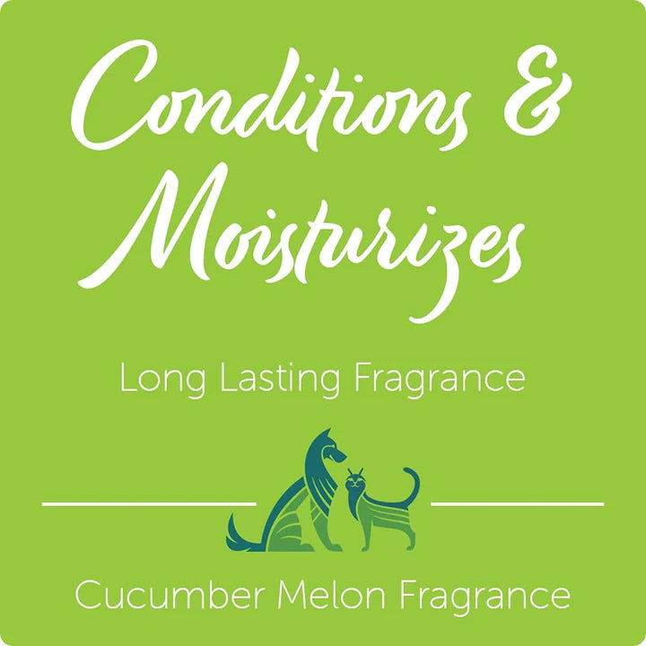 Nootie Cucumber Melon Daily Spritz