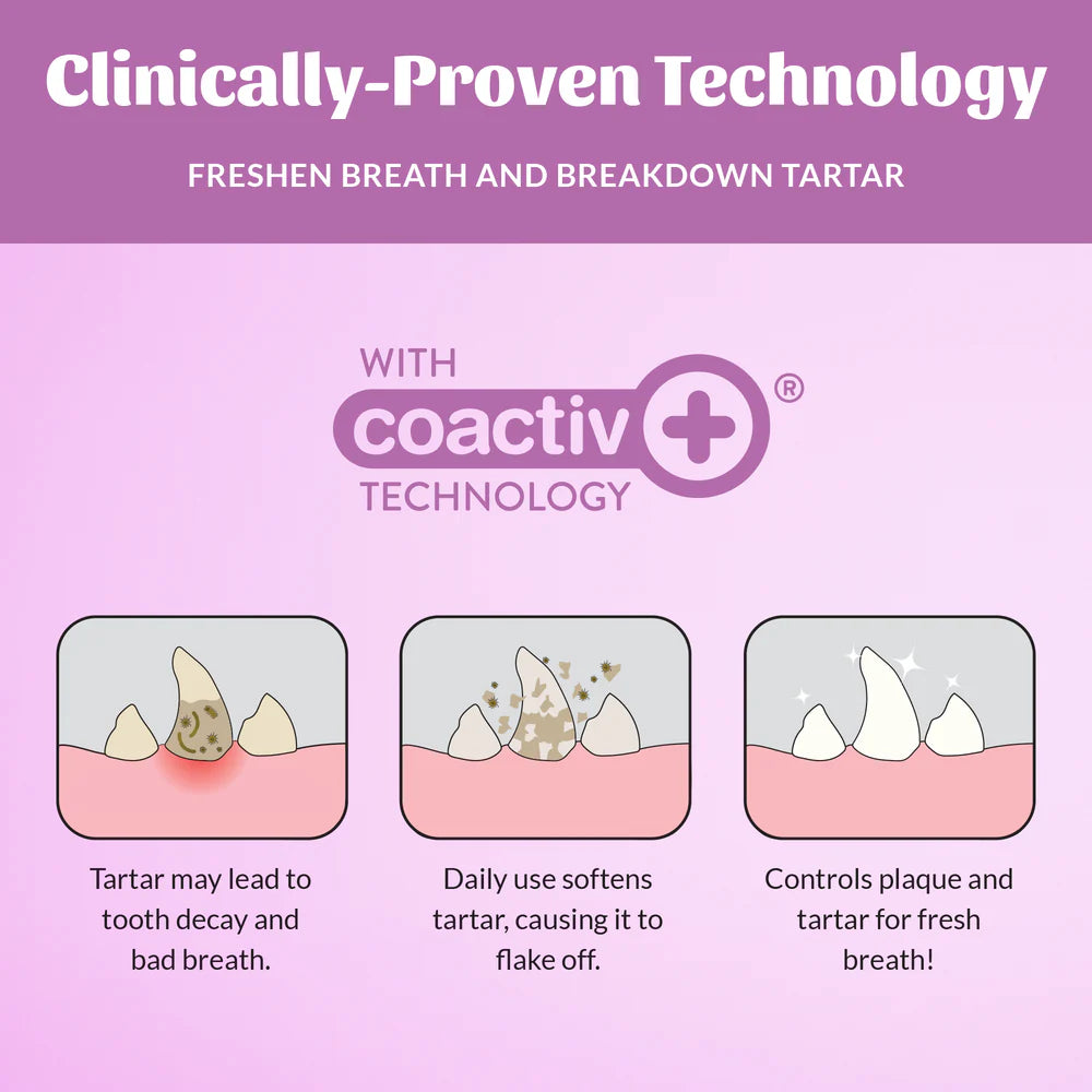 Skouts Honor Fresher Breath Dental Wipes