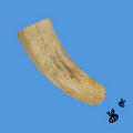 Honey I'm Home Horn Corn