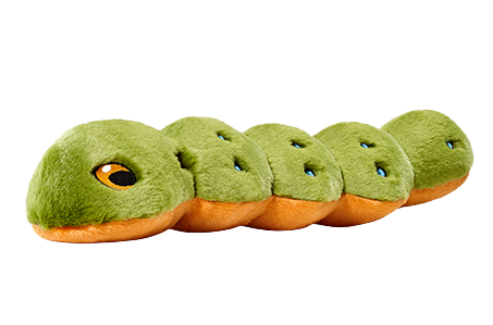 Fluff & Tuff Katie Caterpillar
