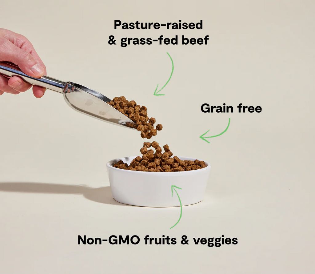 Open Farm Grass Fed Beef