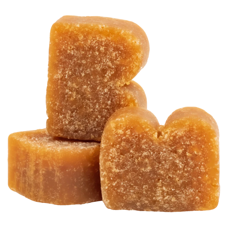 Bixbi Pocket Trainers