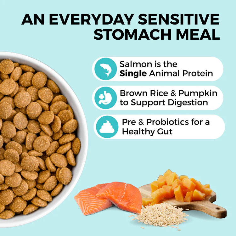 Koha LID Salmon Bland Diet