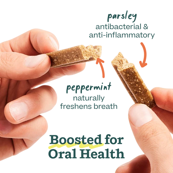 Woof Brush n' Bite Dental Refils