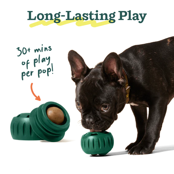 Pupsicle Beef & Peanut Butter Refils