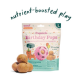Woof Pupsicle Birthday Pops