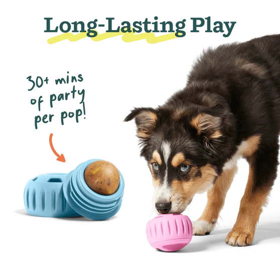 Woof Pupsicle Birthday Pops