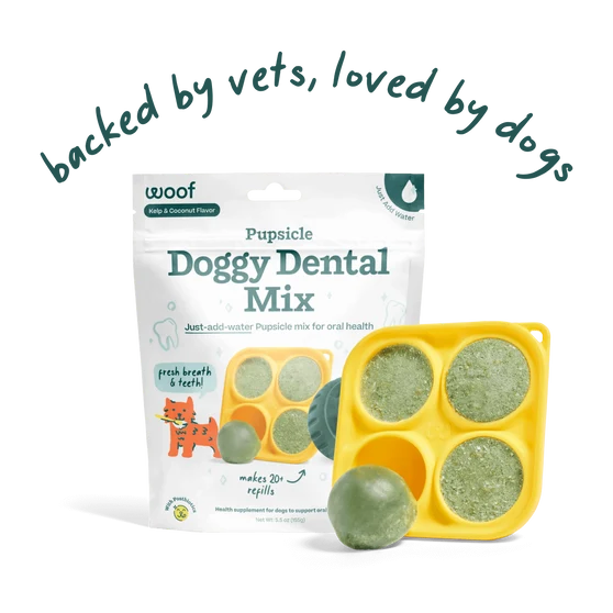 Woof Pupsicle Doggy Dental Mix