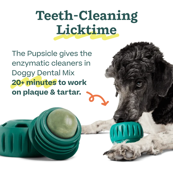 Woof Pupsicle Doggy Dental Mix