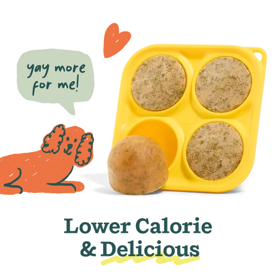 Woof Pupsicle Sample Mix