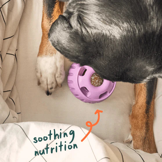 Pupsicle Calming Refills