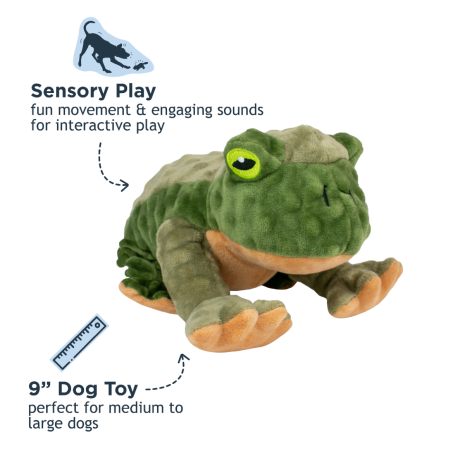 Tall Tails Frog Toy