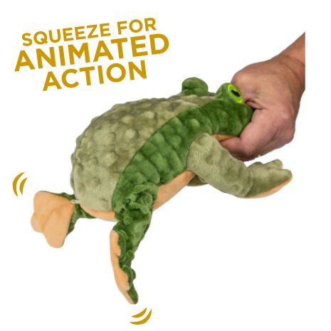 Tall Tails Frog Toy