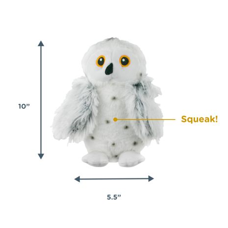 Territory Owl Animated Toy