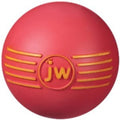 JW Squeaky Ball