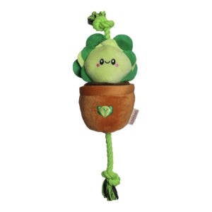 Territory Lettuce Treat and Tug Toy