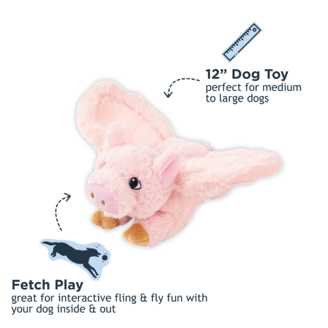 Tall Tails Flying Pig Toy