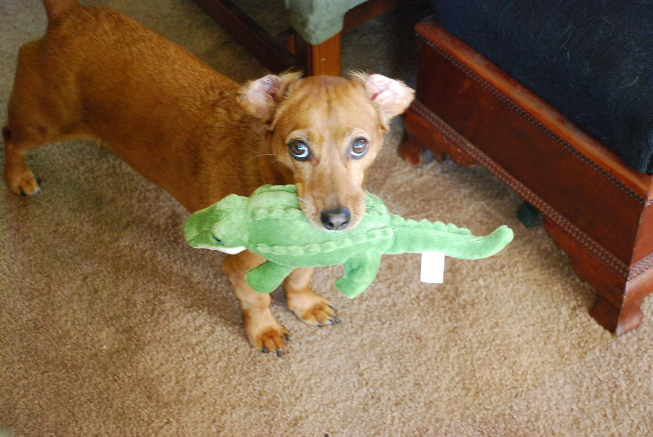Fluff & Tuff Savannah Baby Gator