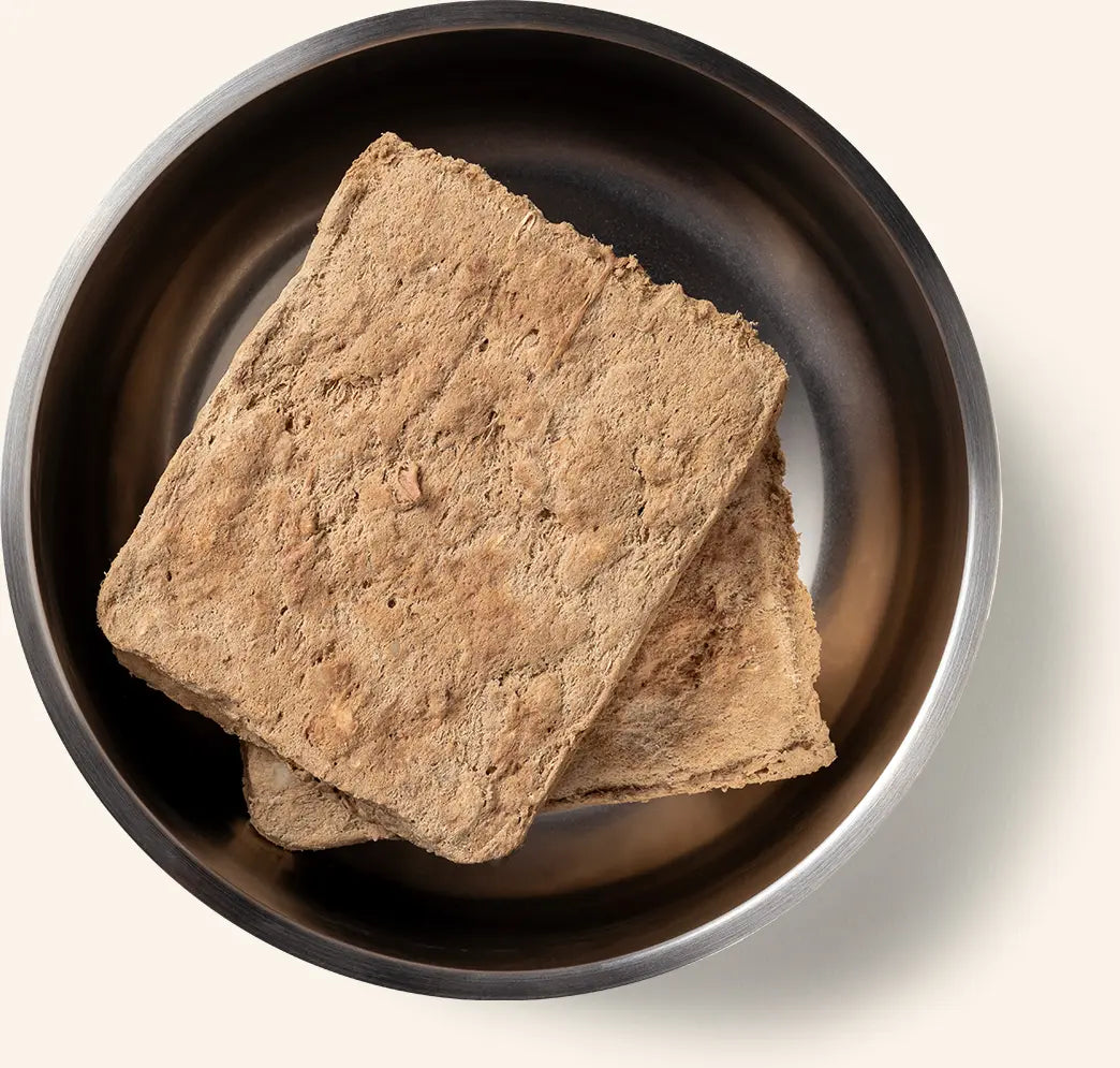 Vital Essentials Beef Entree Patties