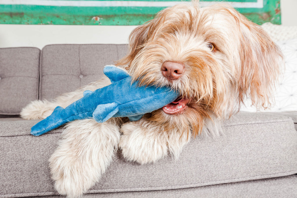 Fluff & Tuff Tank Shark
