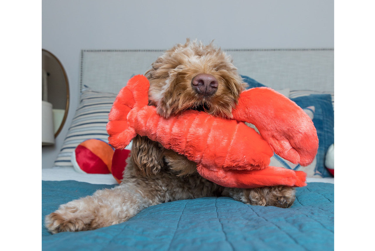 Fluff & Tuff Manny Lobster