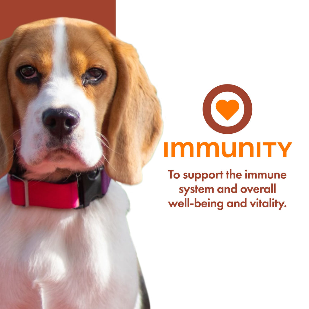 Fromm Immunity Pate