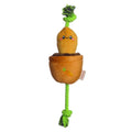 Territory Vegetable Treat and Tug Toy